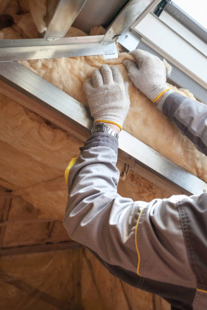 Best Attic Insulation Installation  in Blacklick Estates, OH